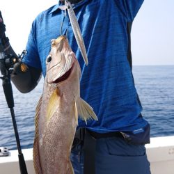 海皇丸 釣果