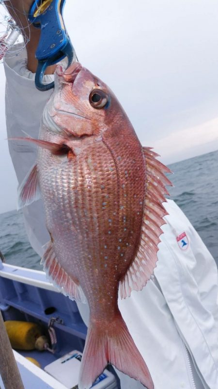 新幸丸 釣果