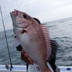 新幸丸 釣果