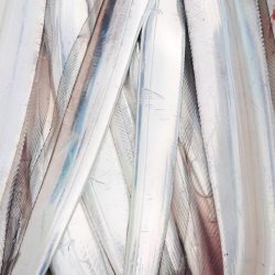 金沢八景鴨下丸 釣果