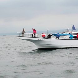 金沢八景鴨下丸 釣果