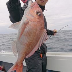 だて丸 釣果