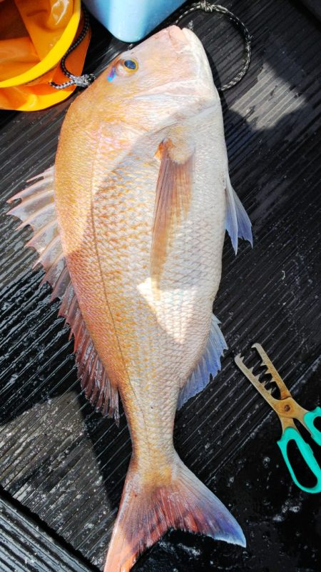 第二龍勢丸 釣果