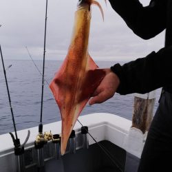 第二龍勢丸 釣果