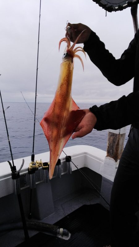 第二龍勢丸 釣果