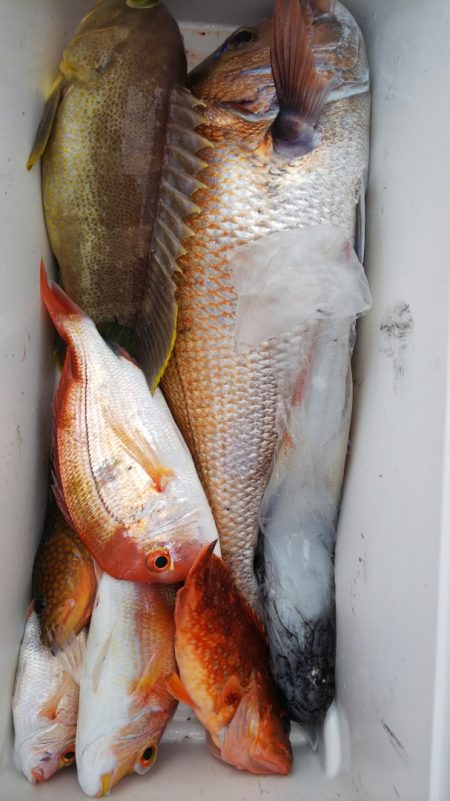 第二龍勢丸 釣果