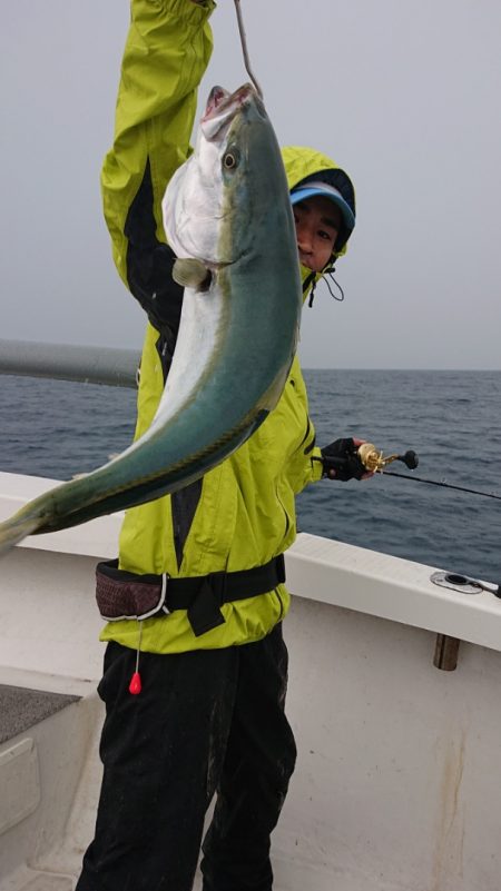 ARCADIAⅡ （アルカディアⅡ） 釣果