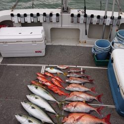 ARCADIAⅡ （アルカディアⅡ） 釣果