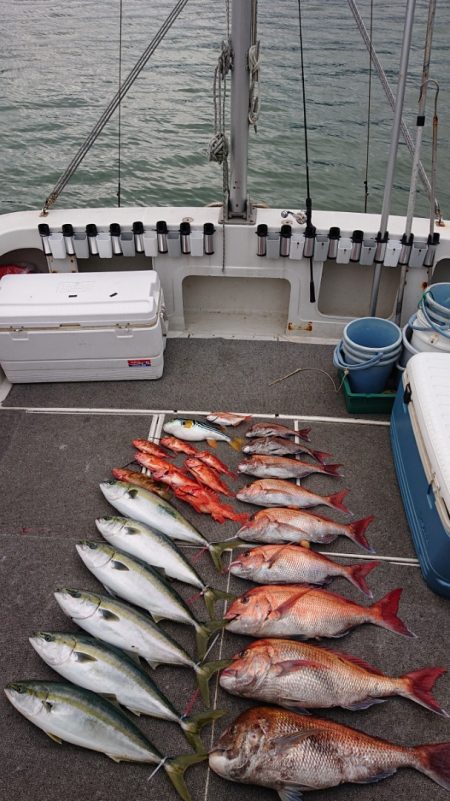 ARCADIAⅡ （アルカディアⅡ） 釣果