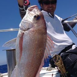 だて丸 釣果