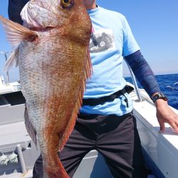 だて丸 釣果