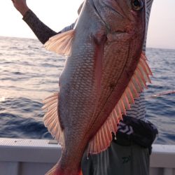海皇丸 釣果