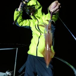 LUSTER『ラスター』 釣果