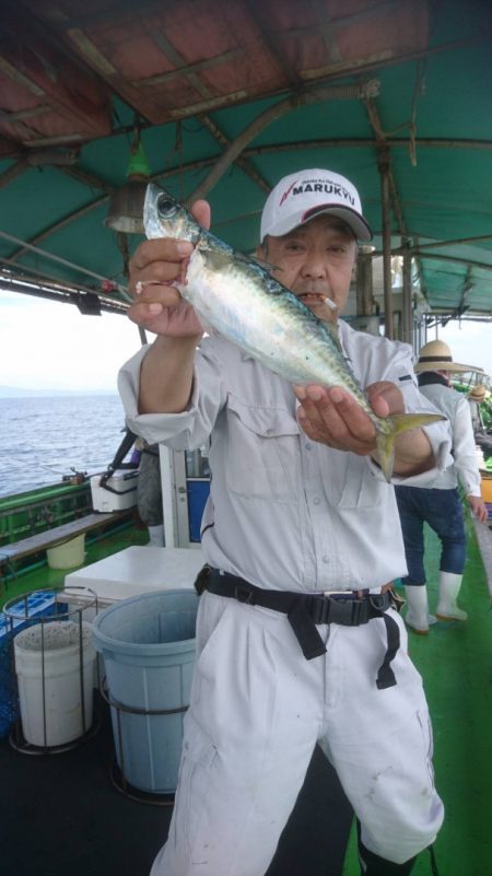 小島丸 釣果