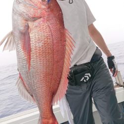 だて丸 釣果