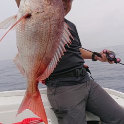 だて丸 釣果