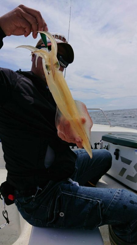 きずなまりん 釣果