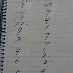 金沢八景鴨下丸 釣果