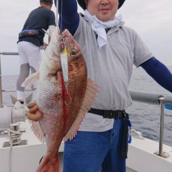 ARCADIAⅡ （アルカディアⅡ） 釣果