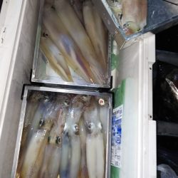 第二龍勢丸 釣果