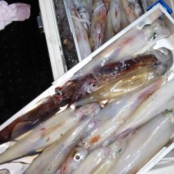 第二龍勢丸 釣果