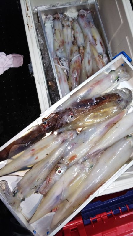 第二龍勢丸 釣果