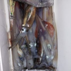 第二龍勢丸 釣果