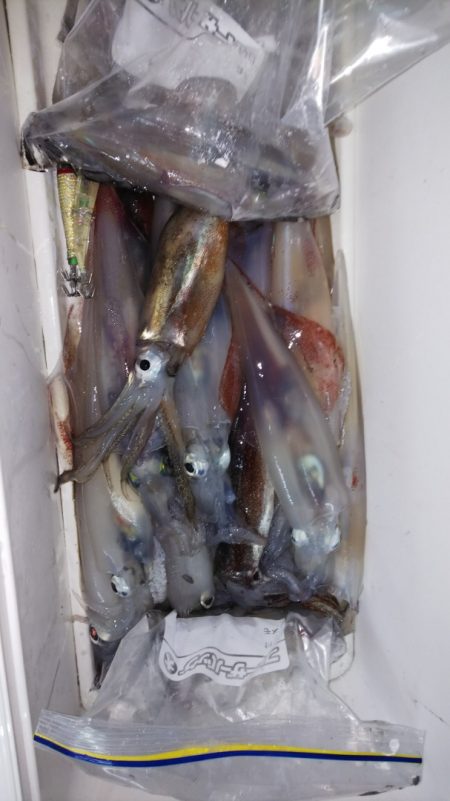 第二龍勢丸 釣果