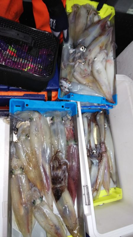 第二龍勢丸 釣果