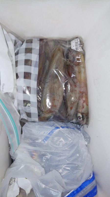 第二龍勢丸 釣果