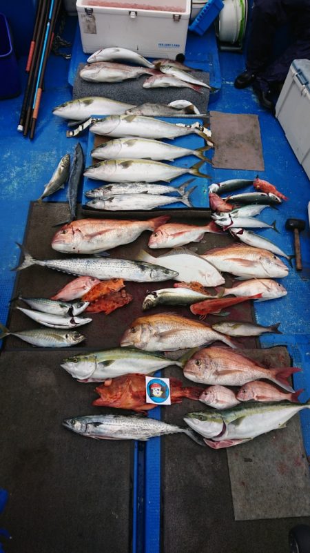 清和丸 釣果
