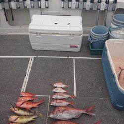 ARCADIAⅡ (アルカディアⅡ) 釣果