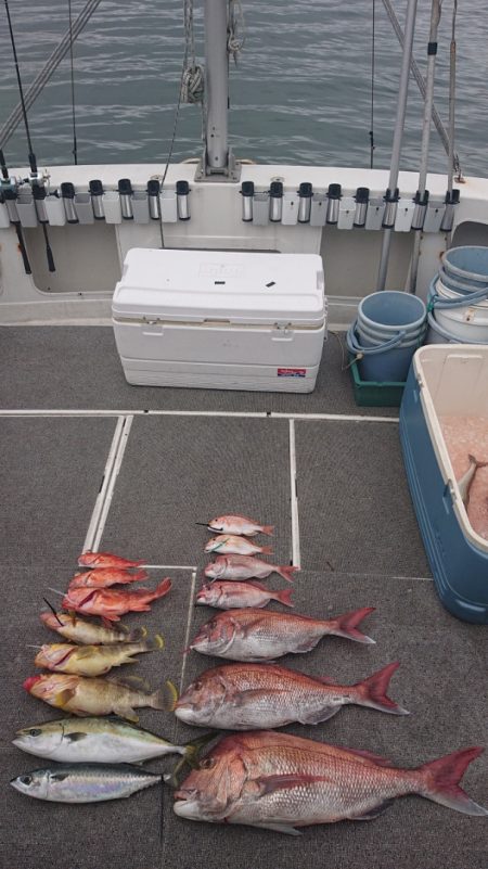 ARCADIAⅡ (アルカディアⅡ) 釣果