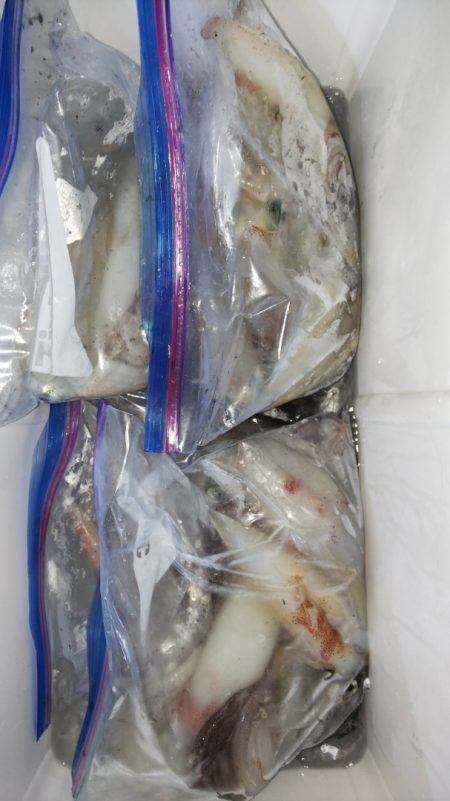 第二龍勢丸 釣果