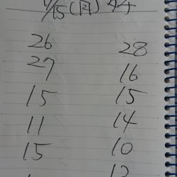 金沢八景鴨下丸 釣果