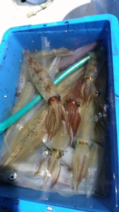 LUSTER『ラスター』 釣果