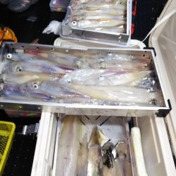 第二龍勢丸 釣果