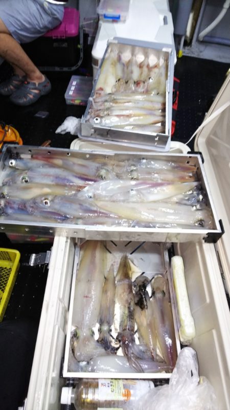 第二龍勢丸 釣果