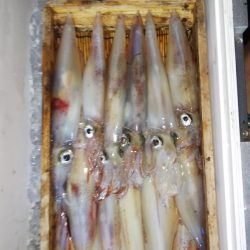 第二龍勢丸 釣果