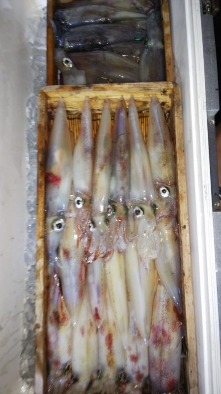 第二龍勢丸 釣果