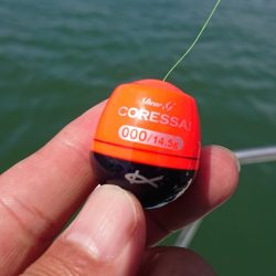 シースナイパー海龍 釣果