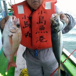 小島丸 釣果