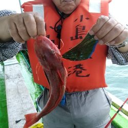 小島丸 釣果