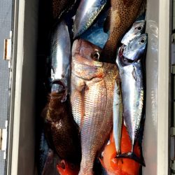 渡船屋たにぐち 釣果