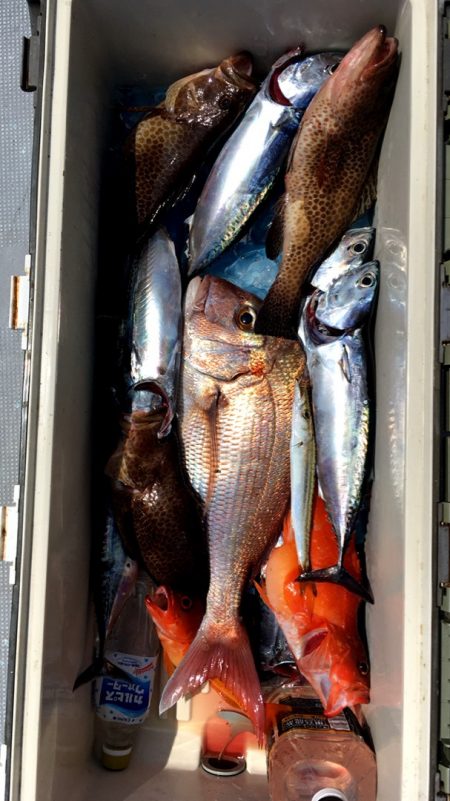 渡船屋たにぐち 釣果