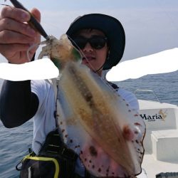 きずなまりん 釣果