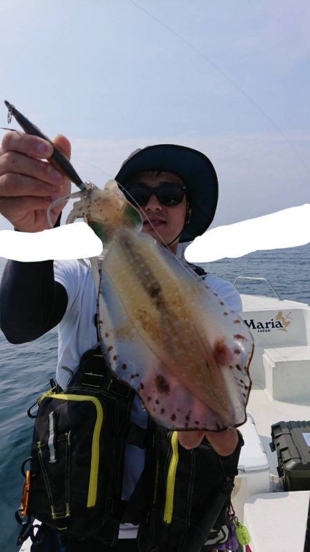 きずなまりん 釣果