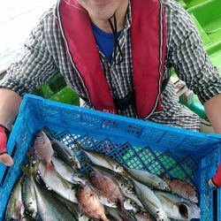 小島丸 釣果