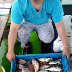 小島丸 釣果
