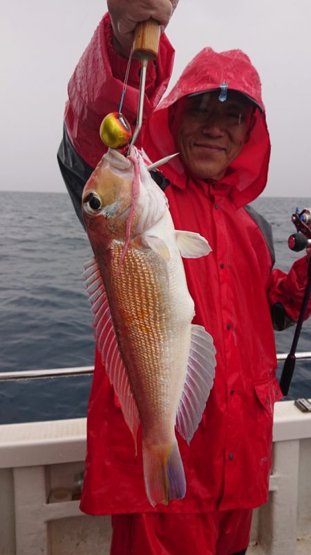 ARCADIAⅡ (アルカディアⅡ) 釣果